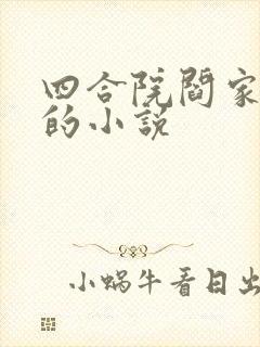 四合院阎家老大的小说