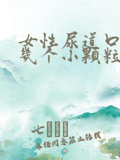 女性尿道口边有几个小颗粒