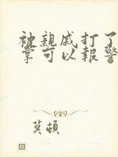 被亲戚打了一巴掌可以报警吗