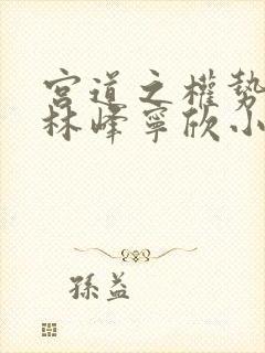 宫道之权势滔天林峰宁欣小说赵小二著