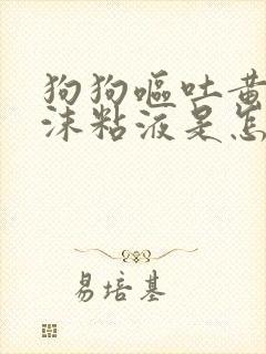 狗狗呕吐黄水泡沫粘液是怎么回事儿