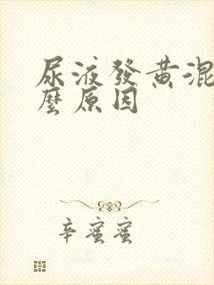 尿液发黄混浊什么原因