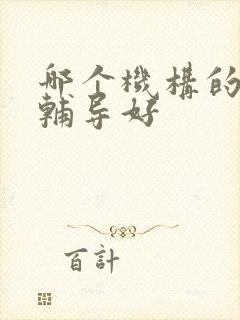 哪个机构的雅思辅导好