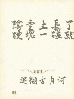 阴囊上长了一个硬块一碰就疼