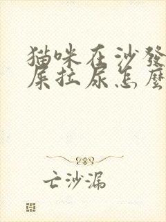 猫咪在沙发上拉屎拉尿怎么办