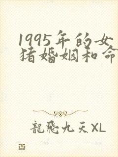 1995年的女猪婚姻和命运