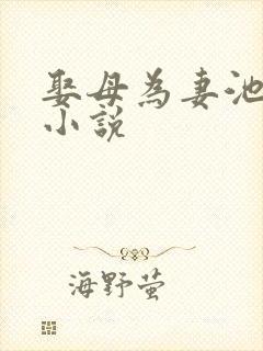 娶母为妻池清澜小说