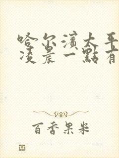 哈尔滨太平机场凌晨一点有大巴吗