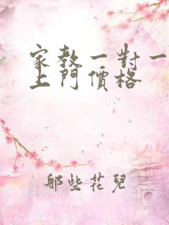 家教一对一辅导上门价格