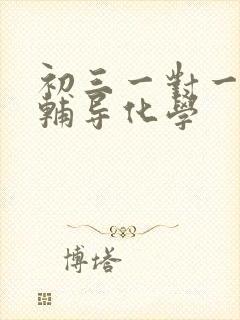 初三一对一在线辅导化学