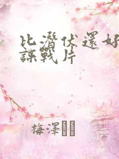 比潜伏还好看的谍战片