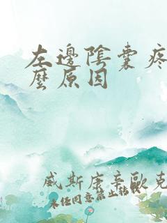 左边阴囊疼痛什么原因