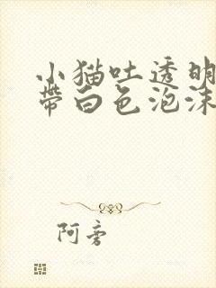 小猫吐透明液体带白色泡沫