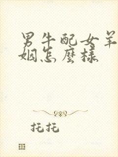 男牛配女羊的婚姻怎么样