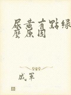 尿黄有点绿是什么原因