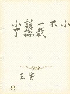 小说一不小心嫁了总裁