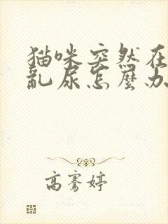 猫咪突然在家里乱尿怎么办