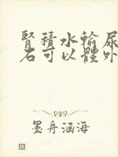 肾积水输尿管结石可以体外碎石吗