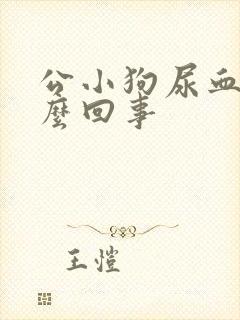 公小狗尿血是怎么回事