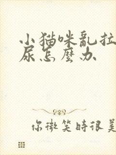 小猫咪乱拉屎拉尿怎么办