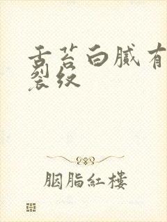 舌苔白腻有齿痕裂纹