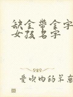 缺金带金字旁的女孩名字