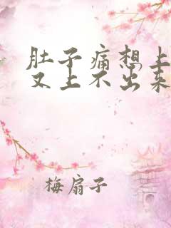 肚子痛想上大便又上不出来什么原因