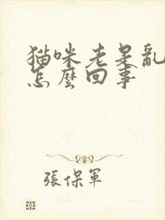 猫咪老是乱尿是怎么回事