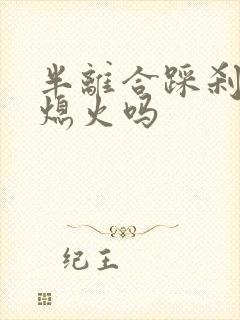 半离合踩刹车会熄火吗