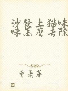 沙发上猫咪尿骚味怎么去除