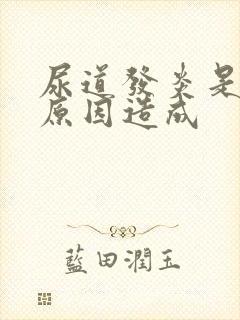 尿道发炎是什么原因造成