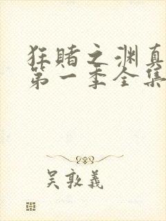 狂赌之渊真人版第一季全集免费观看