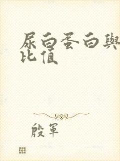 尿白蛋白与肌酐比值