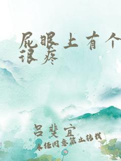 屁眼上有个肉球很疼