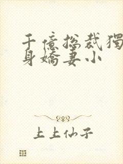 千亿总裁独宠替身娇妻小