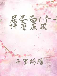 尿蛋白1个十是什么原因