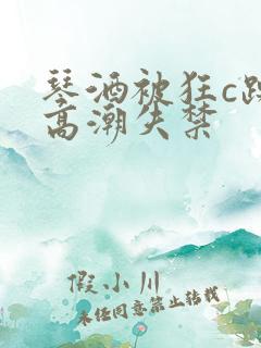 琴酒被狂c躁到高潮失禁