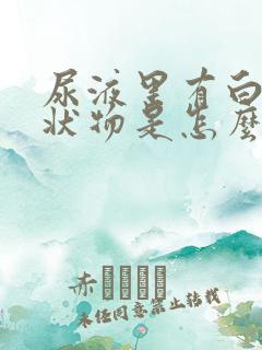 尿液里有白色絮状物是怎么回事