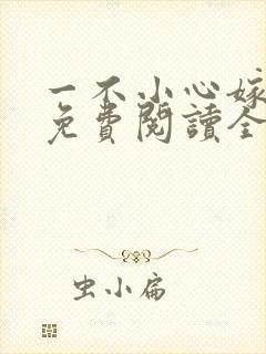 一不小心嫁总裁免费阅读全文