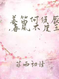 姜笛何须厌杨柳,春风不度玉门关