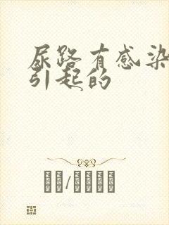 尿路有感染是怎引起的