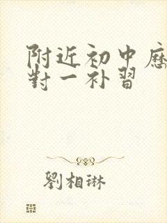 附近初中历史一对一补习