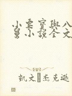 小粟宝与八个舅舅小说全文阅读