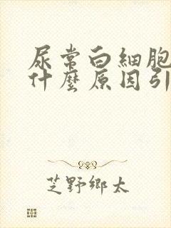 尿常白细胞高是什么原因引起