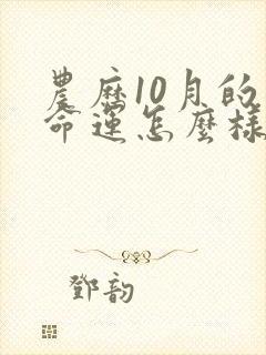 农历10月的羊命运怎么样