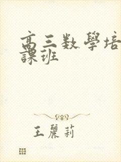 高三数学培训补课班