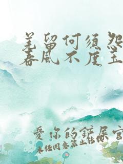 羌留何须怨杨柳春风不度玉门关意思