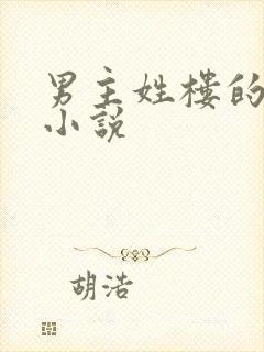 男主姓楼的总裁小说