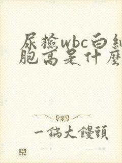 尿检wbc白细胞高是什么原因