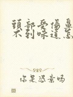 头部受伤鼻子闻不到味道怎么回事